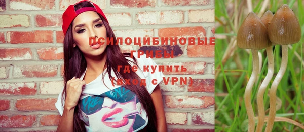 круглые Абаза